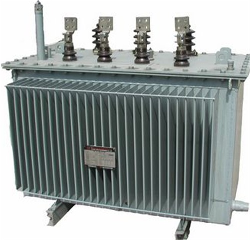武宁S11-100KVA/10KV/0.4KV油浸式变压器厂家现货